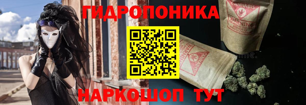 Шишки марихуана индика Великий Новгород